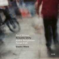 دانلود آلبوم Gard Nilssen Acoustic Unity - Elastic Wave
