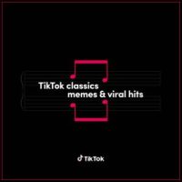 دانلود آلبوم Various Artists - TikTok Classics - memes & viral hits (24Bit Stereo)