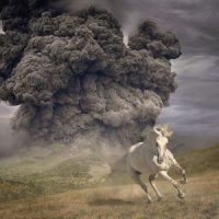 دانلود آلبوم The White Buffalo - Year Of The Dark Horse (24Bit Stereo)