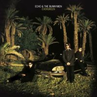 دانلود آلبوم Echo And The Bunnymen - Evergreen (25 Year Anniversary Edition)