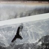 دانلود آلبوم Soundwalk Collective, Patti Smith - The Perfect Vision Reworkings (24Bit Stereo)