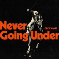 دانلود آلبوم Circa Waves - Never Going Under (24Bit Stereo)