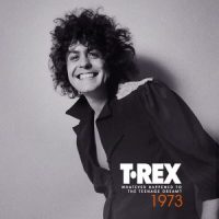 دانلود آلبوم T. Rex - Whatever Happened to the Teenage Dream (1973)