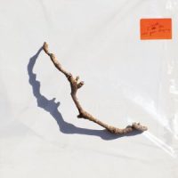 دانلود آلبوم PJ Harvey - I Inside the Old Year Dying (24Bit Stereo)