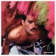 دانلود آلبوم Never Boring (Deluxe) – Freddie Mercury