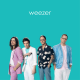 دانلود آلبوم Weezer (Teal Album) – Weezer