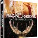 دانلود رایگان Imagine Dragons – Smoke + Mirrors Live