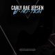 دانلود آلبوم Carly Rae Jepsen – Emotion