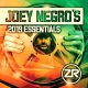 دانلود آلبوم Joey Negro – Joey Negro’s 2019 Essentials