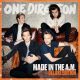 دانلود آلبوم One Direction – Made In The A.M. (24Bit Stereo)