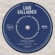 دانلود آلبوم Liam Gallagher – Acoustic Sessions (24Bit Stereo)