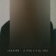 دانلود آلبوم ISLAND – A Place You Like (EP)