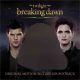 دانلود آلبوم Various Artists – The Twilight Saga: Breaking Dawn – Part 2