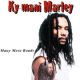 دانلود آلبوم Ky-mani Marley – Many More Roads