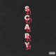 دانلود آلبوم Drake – Scary Hours