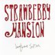 دانلود آلبوم Langhorne Slim – Strawberry Mansion