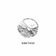 دانلود آلبوم Robin Thicke – On Earth, and in Heaven