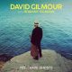 دانلود آلبوم David Gilmour – Yes, I Have Ghosts