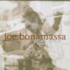 دانلود آلبوم Joe Bonamassa – Blues Deluxe (24Bit Stereo)