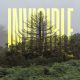 دانلود آلبوم Olafur Arnalds – The Invisible EP (24Bit Stereo)