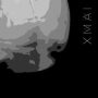 دانلود آلبوم IAMX – Machinate (24Bit Stereo)