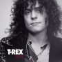 دانلود آلبوم T. Rex – 1972