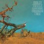 دانلود آلبوم Molly Tuttle, Golden Highway – Crooked Tree