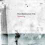 دانلود آلبوم Tord Gustavsen Trio – Opening