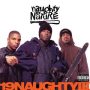 دانلود آلبوم Naughty By Nature – 19NaughtyIII (30th Anniversary) (Remastered) (24Bit Stereo)