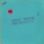 دانلود آلبوم Sonic Youth – Live in Brooklyn, Ny (24Bit Stereo)