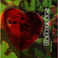 دانلود آلبوم The Breeders - Last Splash (30th Anniversary Edition) (24Bit Stereo)