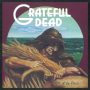 دانلود آلبوم Grateful Dead – Wake of the Flood (50th Anniversary Deluxe Edition)