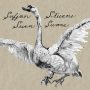 دانلود آلبوم Sufjan Stevens – Seven Swans (Deluxe Edition)